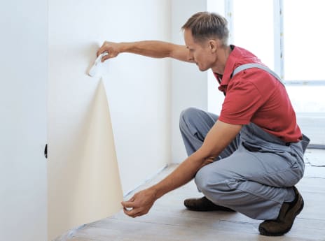 Wall Surface Preparation